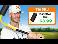I Tested Temu s Weirdest Baseball Gear