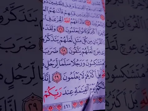﴿ إِنَّكَ مَيِّتٌ وَإِنَّهُم مَّيِّتُونَ﴾[ الزمر: 30]#قرآن #ماهر_المعيقلي #quran #اكسبلور #short