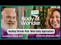 Download Lagu Body of Wonder - Mind-Body Approaches to Understanding \u0026 Healing Chronic Pain - Howard Schubiner, MD