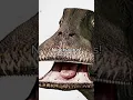 The dinosaur with 500 teeth