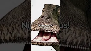 The dinosaur with 500 teeth