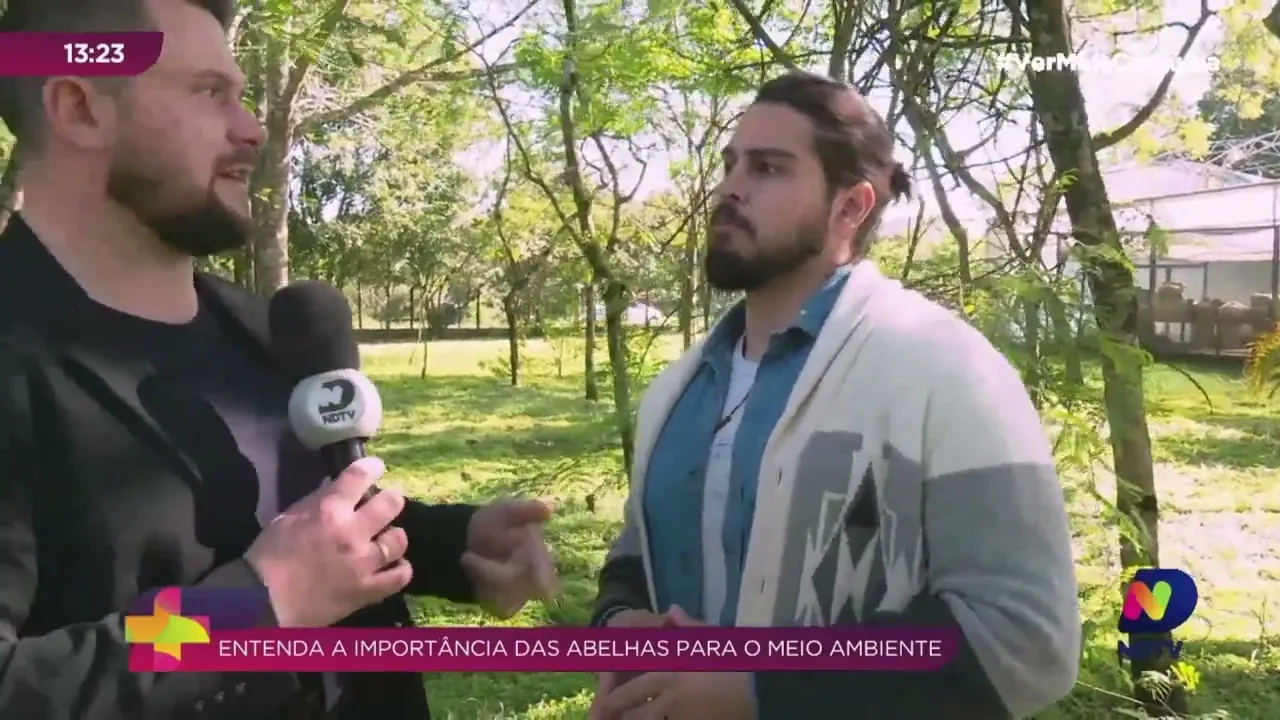 Dia Nacional das Abelhas: o Ver Mais foi conferir com funciona um meliponário