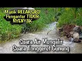 Download Lagu RELAKSASI SUARA ALAM: SUARA AIR dan TONGGERET GUNUNG, Pengantar Tidur Nyenyak
