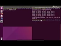Demo TCP Ping Sockets in C Ping to localhost Server - Client
