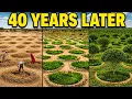 He NOTICED One STRANGE Thing in 1983 40 Years Later Scientists Couldn t Believe What He Found