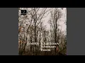 Download Lagu Kreisleriana, Op. 16: VII. Sehr rasch