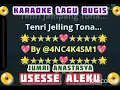 Download Lagu USESSE' ALEKU 📀 KARAOKE || Voc: Jumri Anastasia || Cipt: Amir Syam. MP3