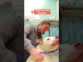 The Rescue Effect 2026 - Waived Fees