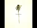 Hommage - Patrick Watson