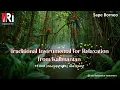 Download Lagu Sape Tradisional instrumen for relaxation from Kalimantan|no copyright #relaxingmusic #borneo#music