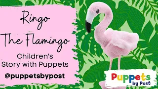 Ringo The Flamingo Storytelling With Puppets Fun For Children Children S Story 