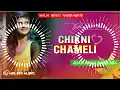 Download Lagu Chikni Chameli Jhan Jhan Bass Mix Hindi Dj Song Malai Music