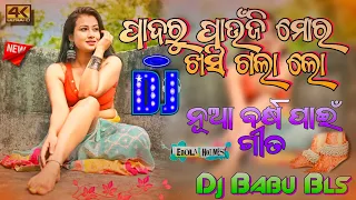 padaru paunji mora khasigala lo dj song sambalpuri odia dj song dj babu bls