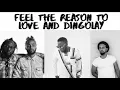 Feel The Reason To Love & Dingolay - DJ Private Ryan & Freetown Collective vs. Erphaan Alves x Kes