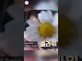 Download Lagu After a new tattoo, Jungkook's NEW pet 🦫🥹// #jungkook #kpop #bts #aegyo #kpopedit #shorts #cute