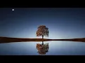 1 Hour Upbeat Background Music (Best MBB Music Collection) Free Download, No Copyright