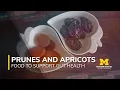 Foods to Support Gut Health Series Prunes and Apricots