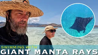 Swimming with Manta Rays at Komodo Island & Hiking Atop of Sebayur Island for Breathtaking Views!