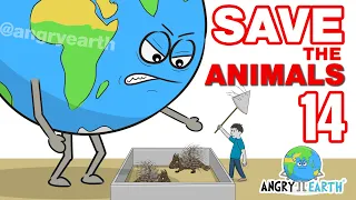 ANGRY EARTH images compilation 31 : Save The Animals 14