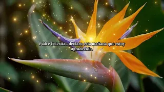 Oración Matutina | SEÑOR, Gracias por Tu Amor y Misericordia �� Paz y Gratitud