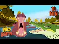 All Creature Battles Part 1 Animals for Kids Wild Kratts