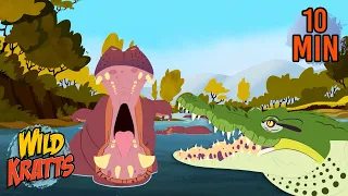 All Creature Battles Part 1 | Animals for Kids | Wild Kratts