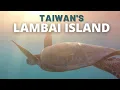 Lagu Snorkel with Sea Turtles on Taiwan's Lambai Island | Things to do in Xiaoliuqiu! 小琉球