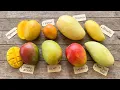 Every Mango Explained