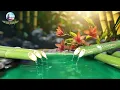 Download Lagu Relaxation Music: soothing water sounds, Full Nature Sound Brain Therapy, Sleep Relaxation, Insomnia