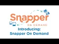 How to Ride PSTA s Snapper On Demand