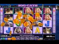 100 CATS I VEGAS-X I TRY 2000 BETS I MEGA WIN