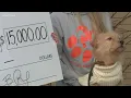 Kentucky Humane Society receives 15K donation