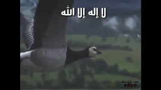 دعاء    الحمد لله الذي خضعت لعظمته الرقاب دندنها