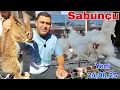 Download Lagu Sabunçu Toyuq Bazarı 24 avqust 2025 @mubarizemintv2271 