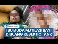 Lagu Kronologi Ibu Muda di Jember Bunuh \u0026 Mutilasi Bayinya yang Baru Lahir, Jasad Dibuang ke Septic Tank