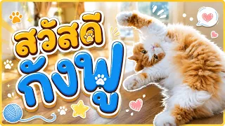 สวัสดีกังฟู