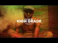 Download Lagu Reggae Trap Type Beat | Protoje Type beat | Reggae Dub Trap Instrumental 2023 | HIGH GRADE RIDDIM