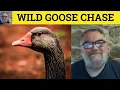 Wild-Goose Chase Meaning - Wild-Goose Chase Examples