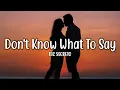 Download Lagu Don't Know What To Say - Ric Segreto (Lyrics)