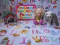 You re welcome to join New Bunny Parent Sharon and Puff as they attend Bunny 101