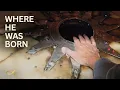 Touching the Birthplace of Jesus - Christmas in Bethlehem