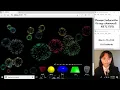 Math Python Series 40 - 3D Firework simulation 3D