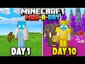 Adding a Mod Every Day for 100 Days in Minecraft