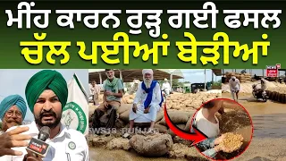 Fazilka Mandi Situation | ਮੀਂਹ ਕਾਰਨ ਰੁੜ੍ਹ ਗਈ ਫਸਲ, ਚੱਲ ਪਈਆਂ ਬੇੜੀਆਂ |  Heavy Rain | N18V