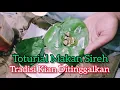 Lagu Toturial Makan Sireh Pinang  | Tradisi Yang Kian Hilang