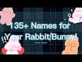 Bunny Names - For Female Male