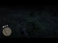 Red Dead Redemption 2 BLACKBERRY Location