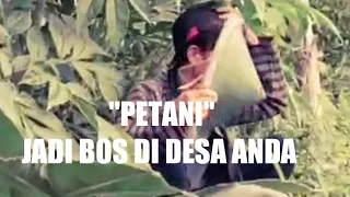 Download PETANI PORANG || ANDA BOS DI DESA ANDA MP3