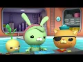 Octonauts - The Cone Snail | Cartoons for Kids | Underwater Sea Education