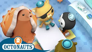 Octonauts - The Cone Snail Cartoons for Kids Underwater Sea Education